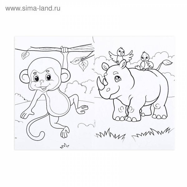 Животные жарких стран. Раскраска