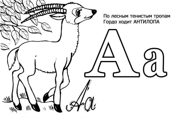 Раскраска алфавит