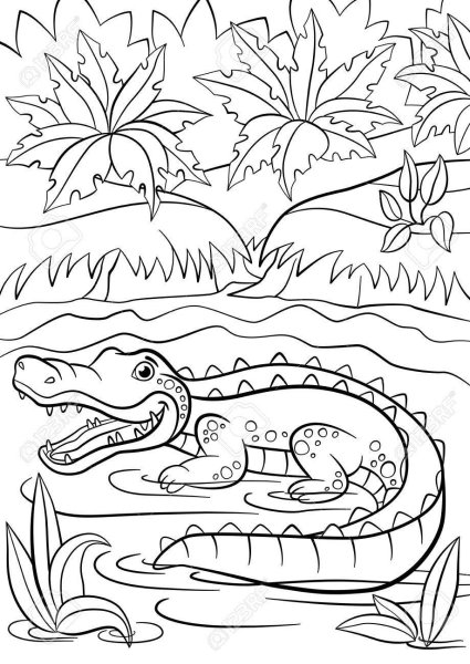 Крокодил Раскраска