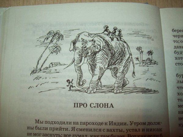 Иллюстрация к рассказам о животных Житкова