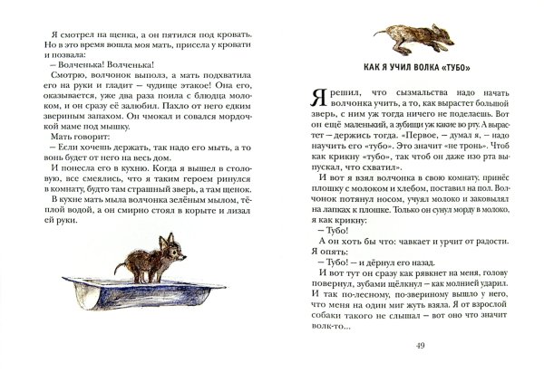 Борис Степанович Житков рассказы о животных