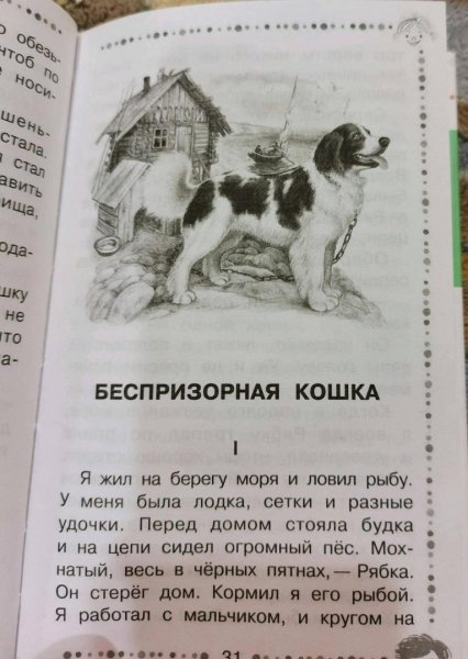 Рассказы о животных б Житкова