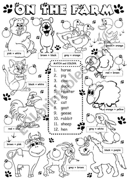 Задания для детей англ яз animals