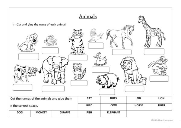 Английский animals Worksheets for Kids