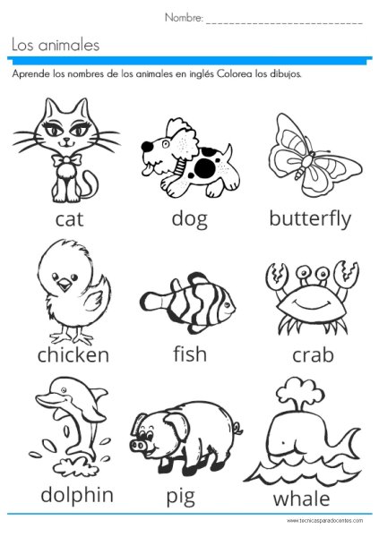Animal задания для детей английский язык