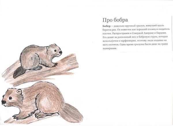 Животные из красной книги Смоленской области