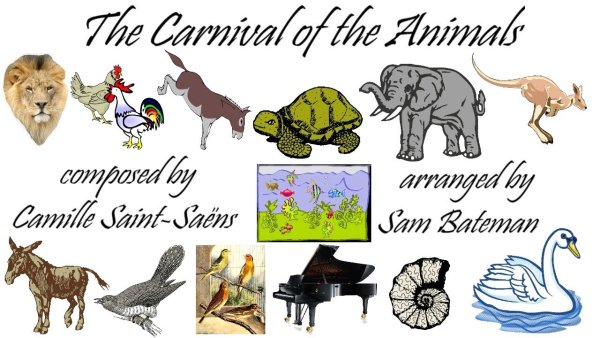 Раскраски сен санс карнавал животных (57 фото)