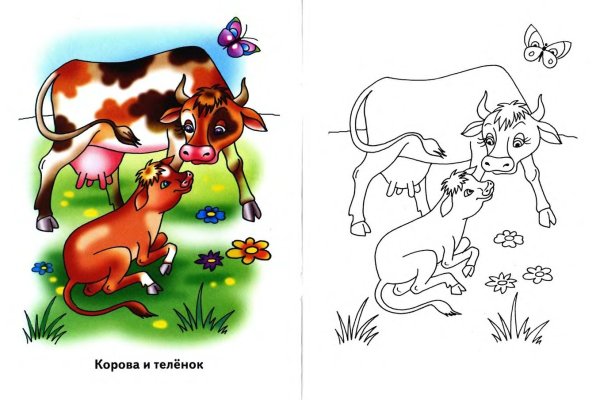 Раскраска корова с теленком для детей
