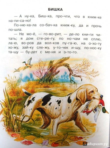 Маленькие рассказы
