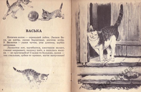 Ушинский к. "Васька"