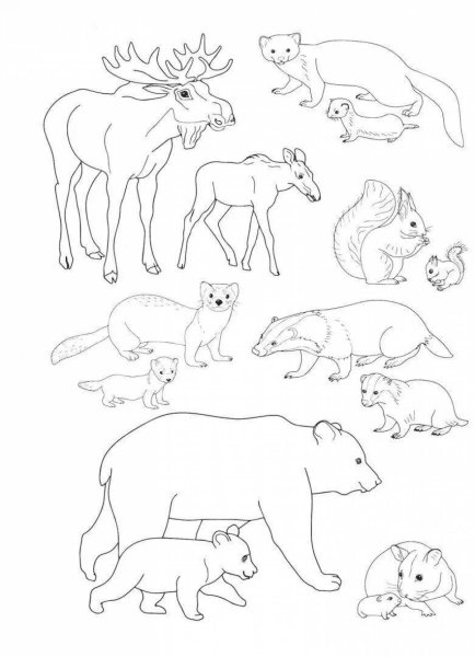 Кошки. Раскраска