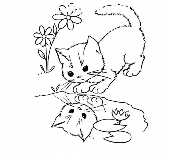 Котенок. Раскраска
