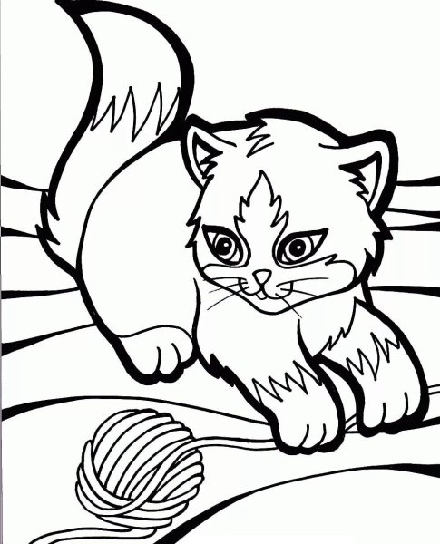 Раскраски питомец котенок (56 фото)