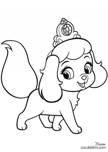 Раскраски Palace Pets