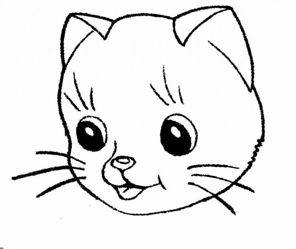 Маска котенка раскраска