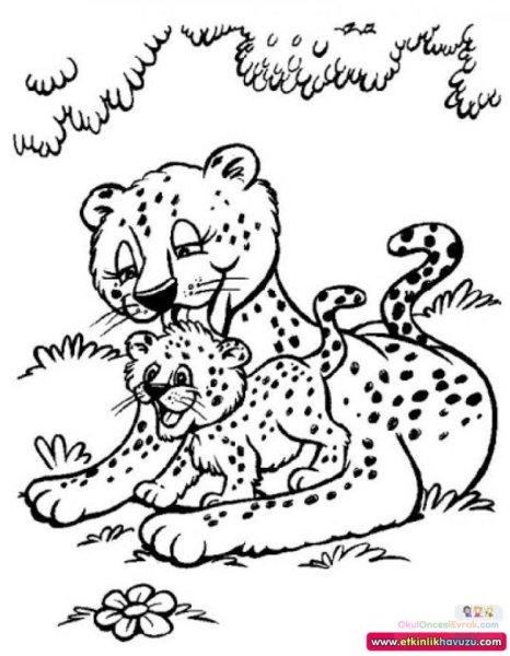 Раскраски животные леопарды (62 фото)