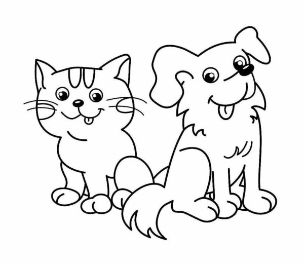 Раскраски для девочек кошки
