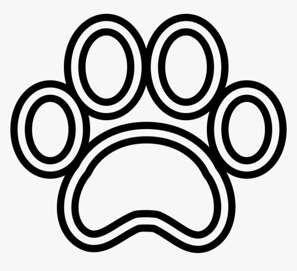Кошачья лапка раскраска
