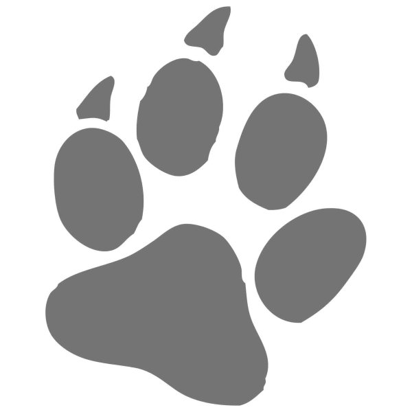 Кошачья лапа отпечаток