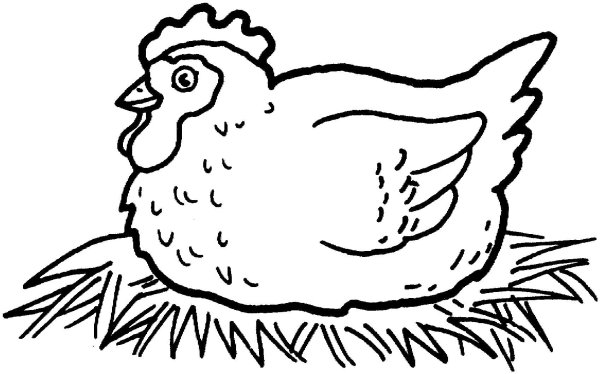 Курица раскраска: векторные изображения и иллюстрации, которые можно скачать бесплатно | Freepik