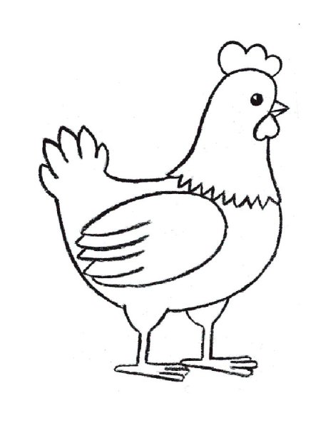 Курица раскраска