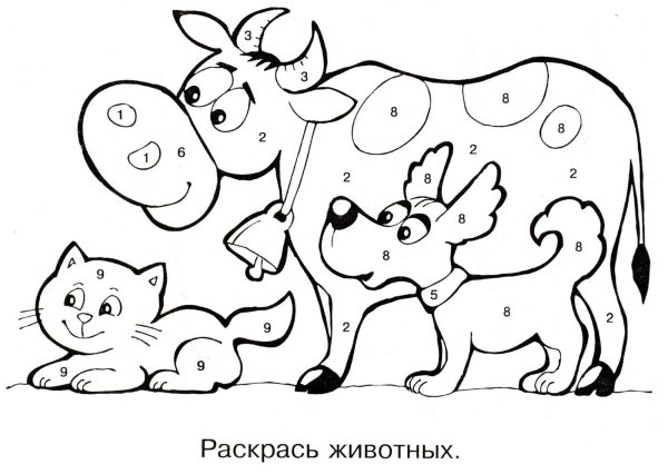 Раскрась по цифрам животные