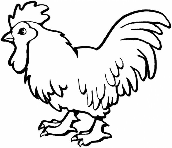 Петух раскраска