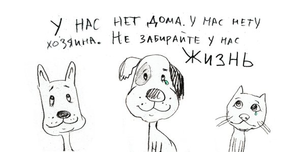 Плакат бездомные животные