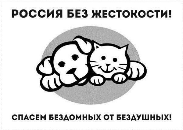 Россия без жестокости