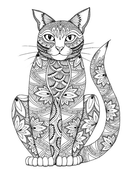 Зендудл Кототерапия