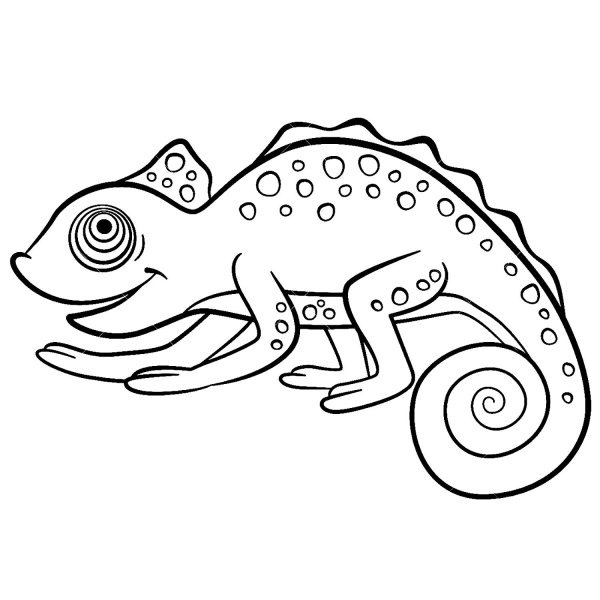 Йеменский хамелеон раскраска