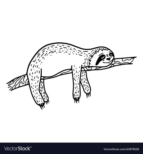 Ленивец рисунок