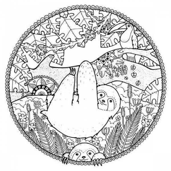 Ленивец раскраска