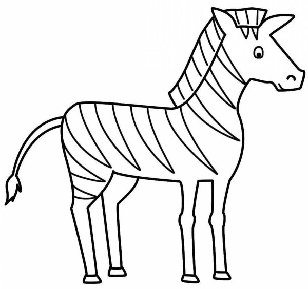 Зебра раскраска