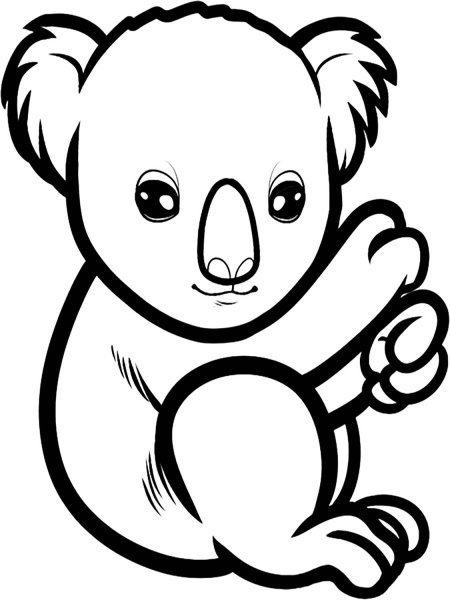 Разукрашки коала