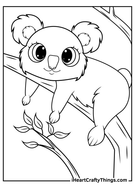 Коала. Раскраска