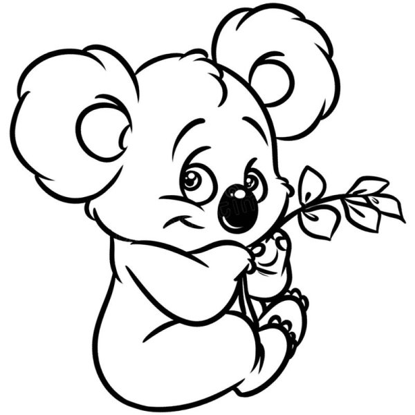 Коала рисунок раскраска