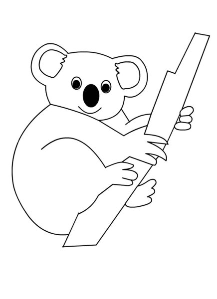 Коала. Раскраска
