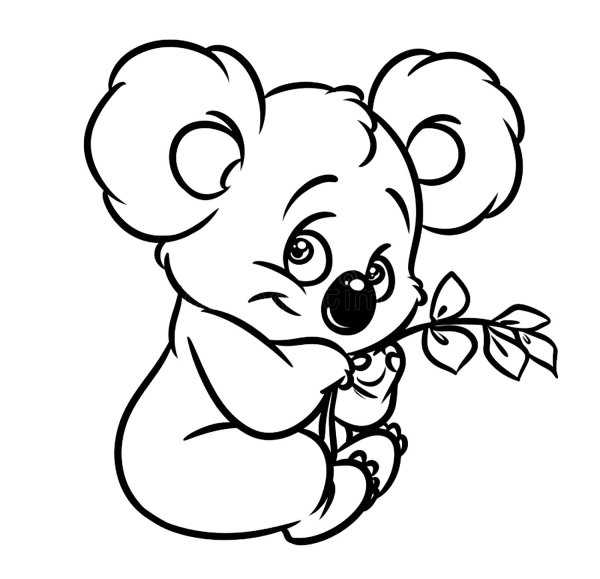 Коала. Раскраска
