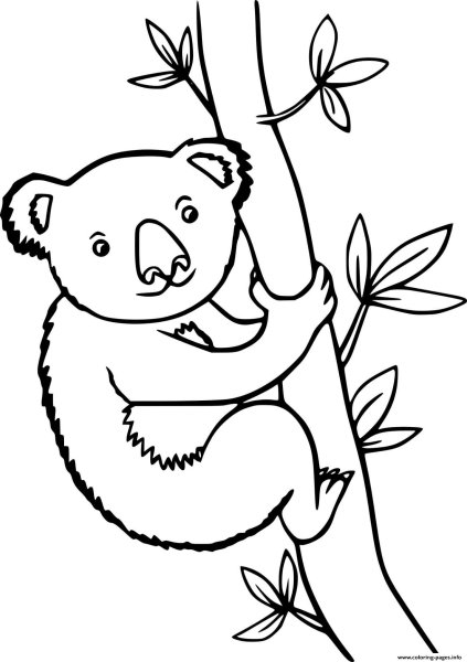 Коала. Раскраска