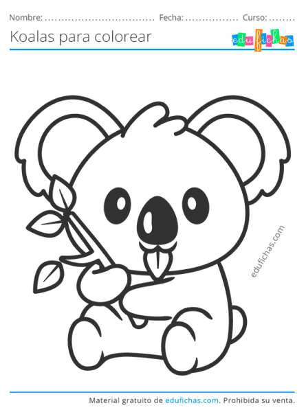 Коала раскраска для детей