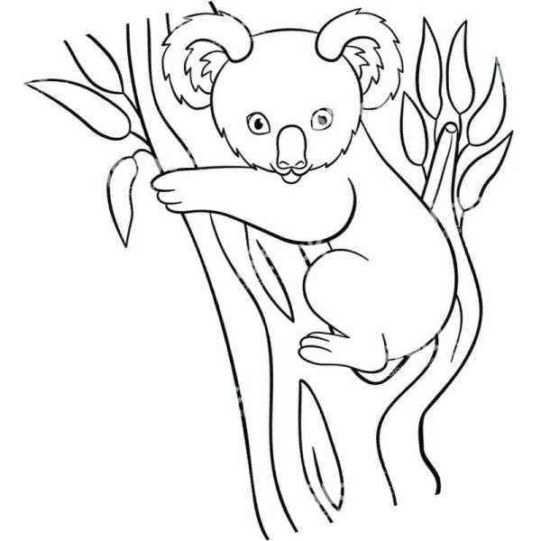 Коала для раскрашивания