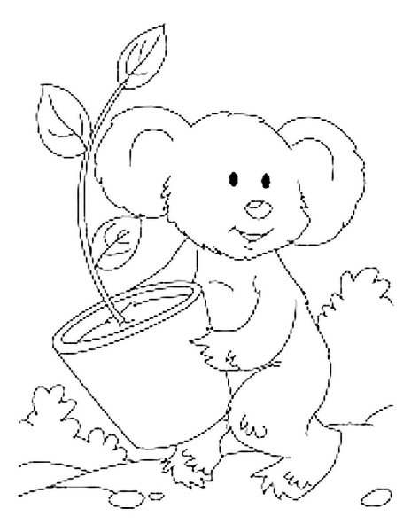 Коала. Раскраска