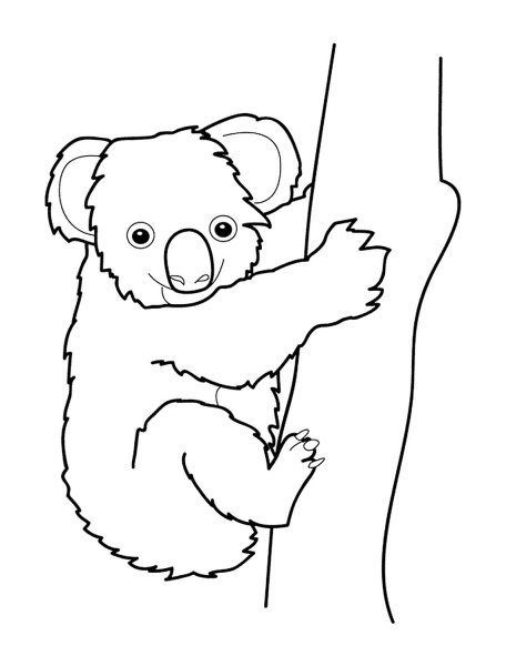 Коала раскраска для детей