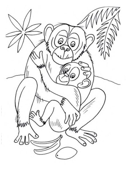 Раскраска Обезьянка | Раскраски обезьянки. Раскраска обезьяна для детей