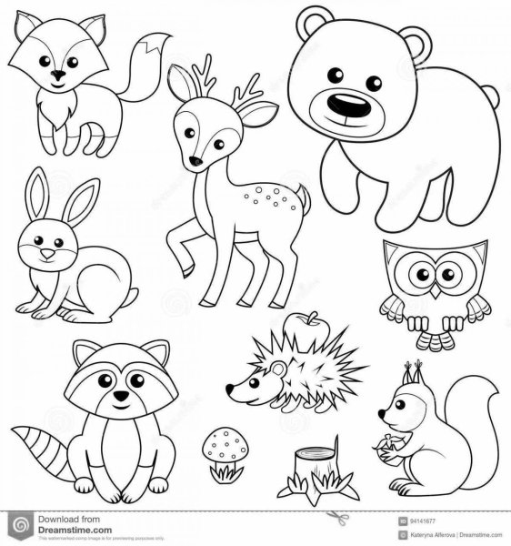 Раскраски Животные | Распечатать для детей ( штук)