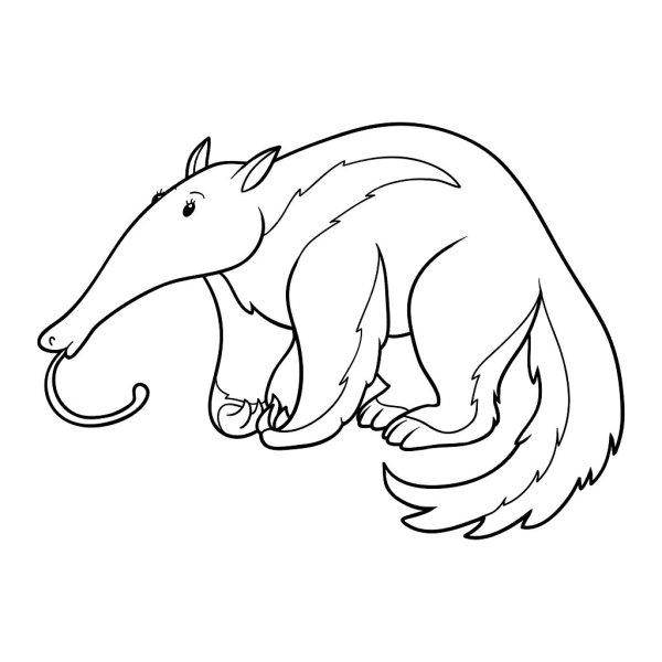 Муравьед эскиз