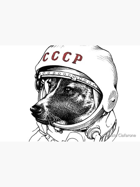 Собака космонавт раскраска