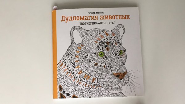 Дудломагия животных творчество-антистресс