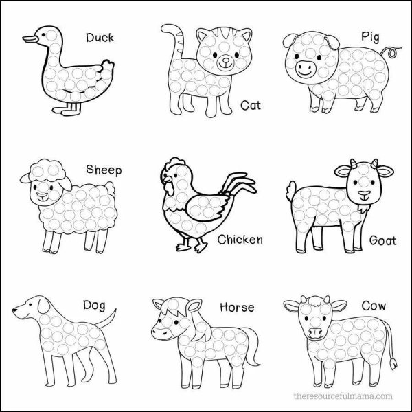 Animals раскраска English